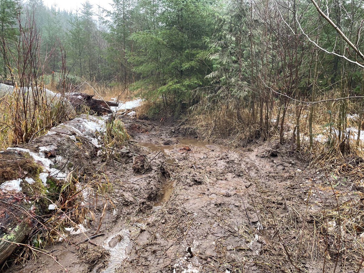 waDNR's tweet image. We like to keep things light on here. But we need to talk about this.

We’ve made the difficult decision to close Sumas Mountain to vehicle access due to garbage dumping, timber theft, and unsanctioned trails that are impacting salmon-bearing streams (1/5)
