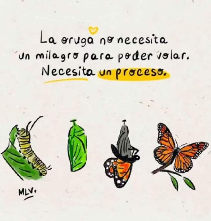 Lento proceso ❣️❣️❣️