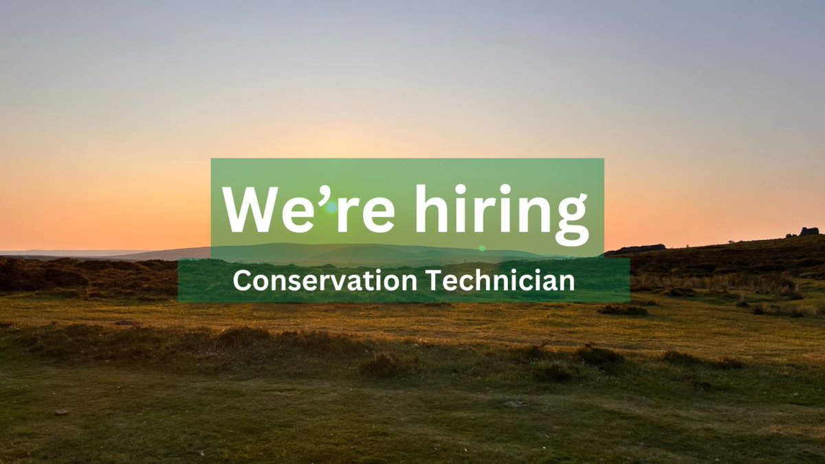 Would you like to join our team as a conservation technician? 💚 If you have... ✅ Experience of site maintenance ✅ Basic IT skills ✅ A working knowledge of alarms and fire systems Then this could be the role for you! Find out more and apply👀➡️ bit.ly/3Tlqj5V
