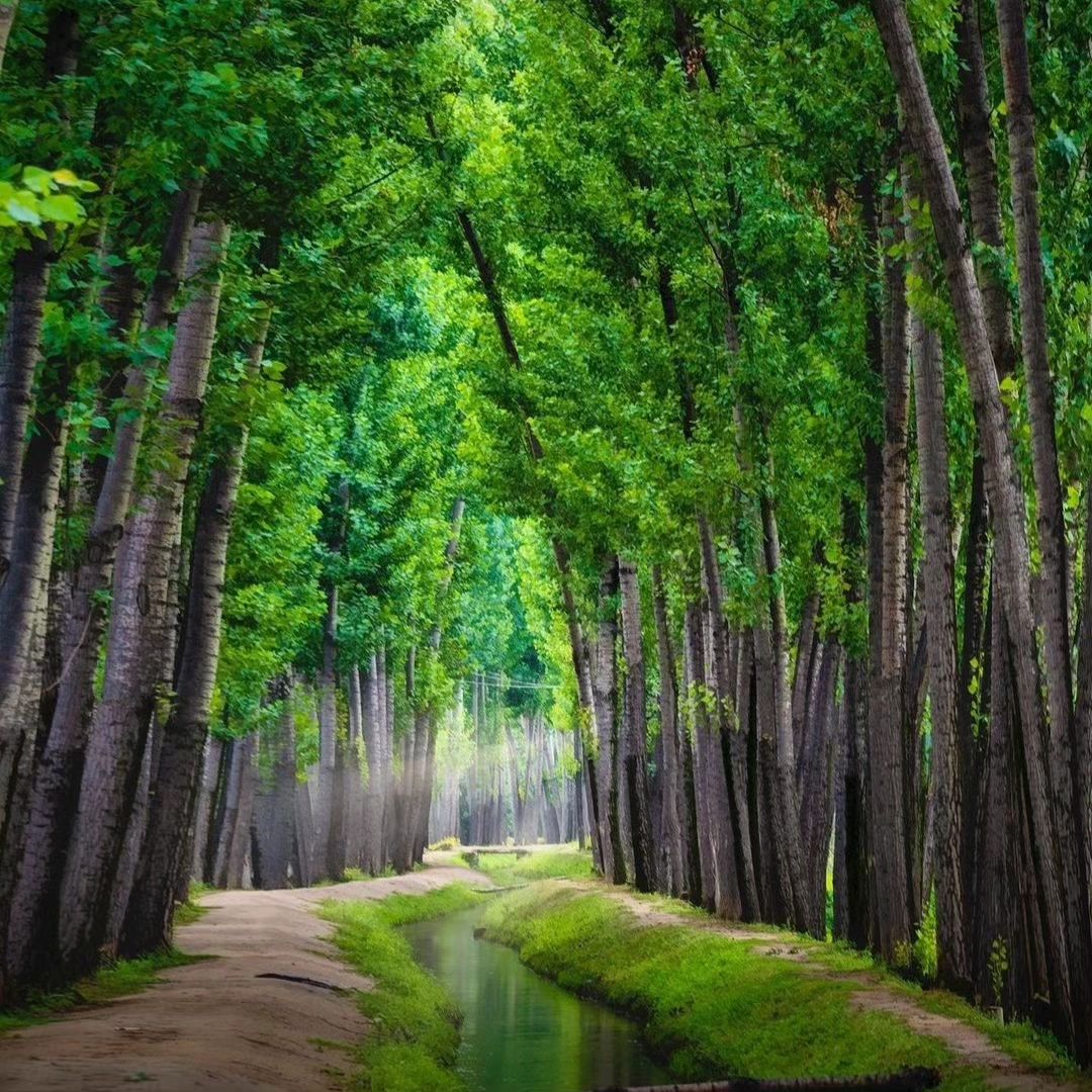 Nandasl160847's tweet image. Seize  the ᠎scenery ​in front of ⳿you ᠍instead ᠍of ᠎dreaming ‍about ﾠthe  distant ⳿future