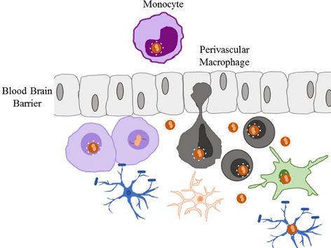 Retrovirology tweet media