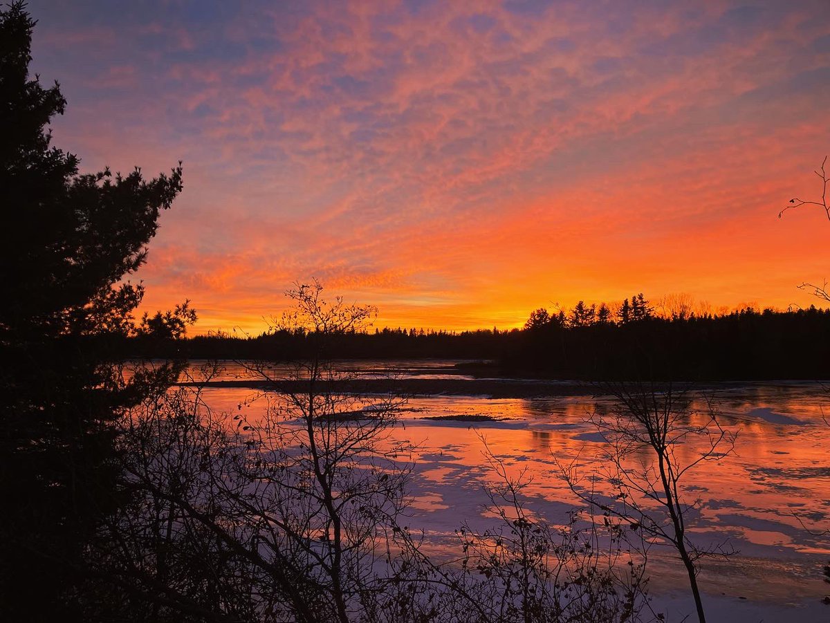 danielwdylan's tweet photo. Another pretty amazing sunset in TBay last night. https://t.co/zgCiufN4hu