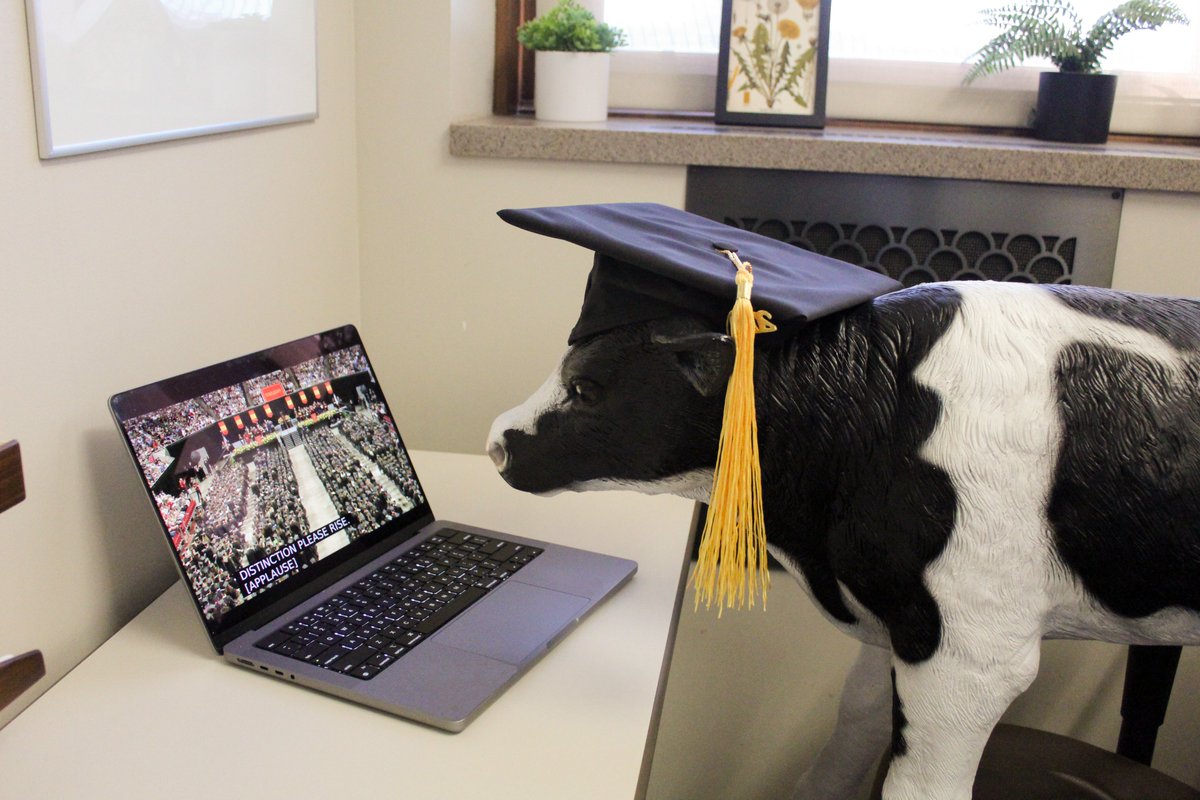 Curtiss isn't able to come to Hilton Coliseum today, but he will be cheering you on as you cross the stage via livestream! If you'd like to join him, click on the link to watch the convocation ceremony starting at 9 a.m. 📷 youtube.com/watch?v=E0ajzb… #calsproud #WeAreCALS #ISUCALS