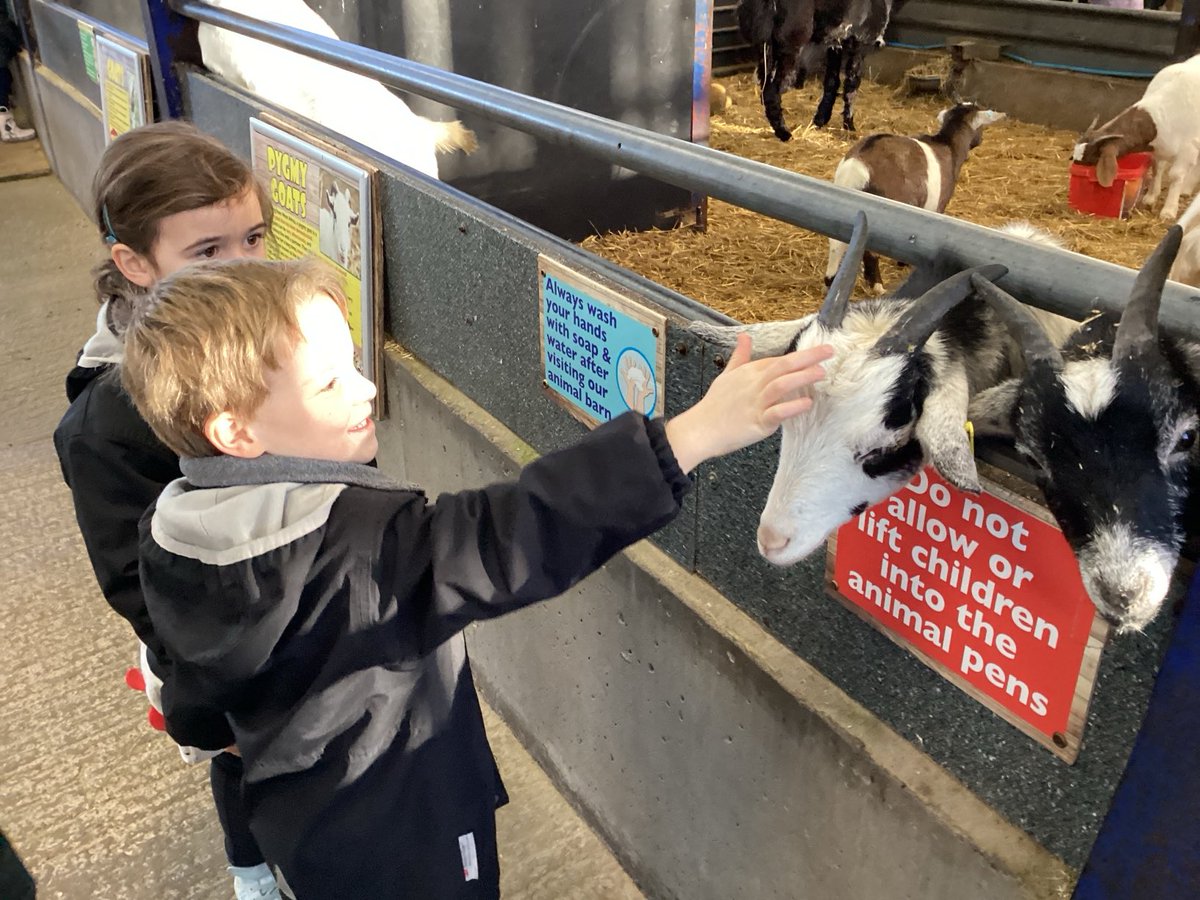 A festive treat today for Reception and Year 1 ⁦@NULSchoolUK⁩, courtesy of ⁦@NFAdventureFarm⁩! A stroll around the farm to meet the animas, a tractor ride and a visit to Santa’s grotto - what more could a ⁦@NULS_Prep⁩ child wish for?! 🎄☃️🎅