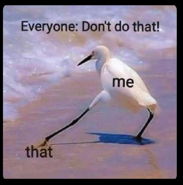 Don't let people tell you can't !