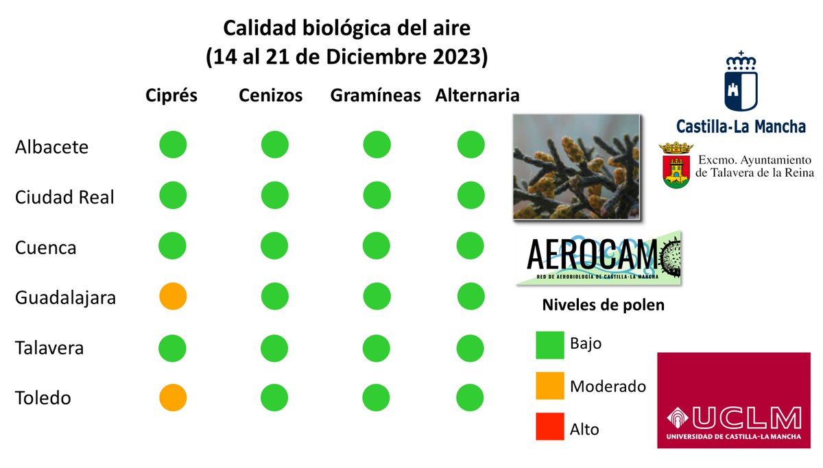 Polen de cipreses 🌲, arizónicas 🌲y otras especies de cupresáceas 🌲con niveles que producen ya alergias a la población sobretodo en Guadalajara y en Toledo. Muy poco polen del resto de especies, tampoco se detectan cantidades importantes de esporas alergénicas.