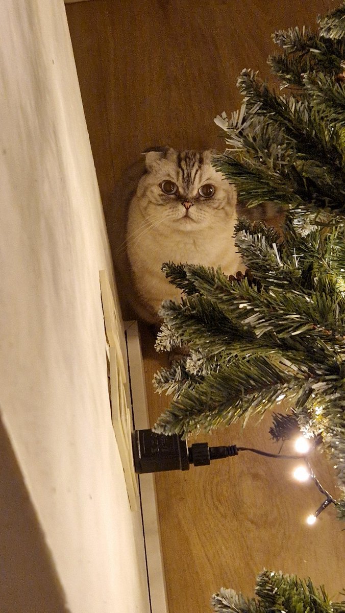 fröhliche weihnachten an alle :)