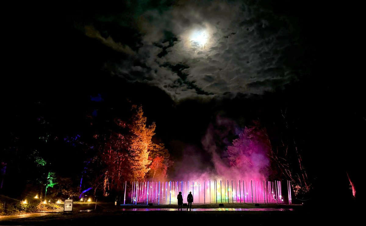 Under the moonlight 🌙 There are just 10 days left to visit Luminate Sandringham Light Trail, amongst the trees dazzling with lights, projections, & holograms creating an 'enchanting experience'. Book tickets: sandringhamestate.co.uk/post/luminate-… 📸 Gary Pearson Photography