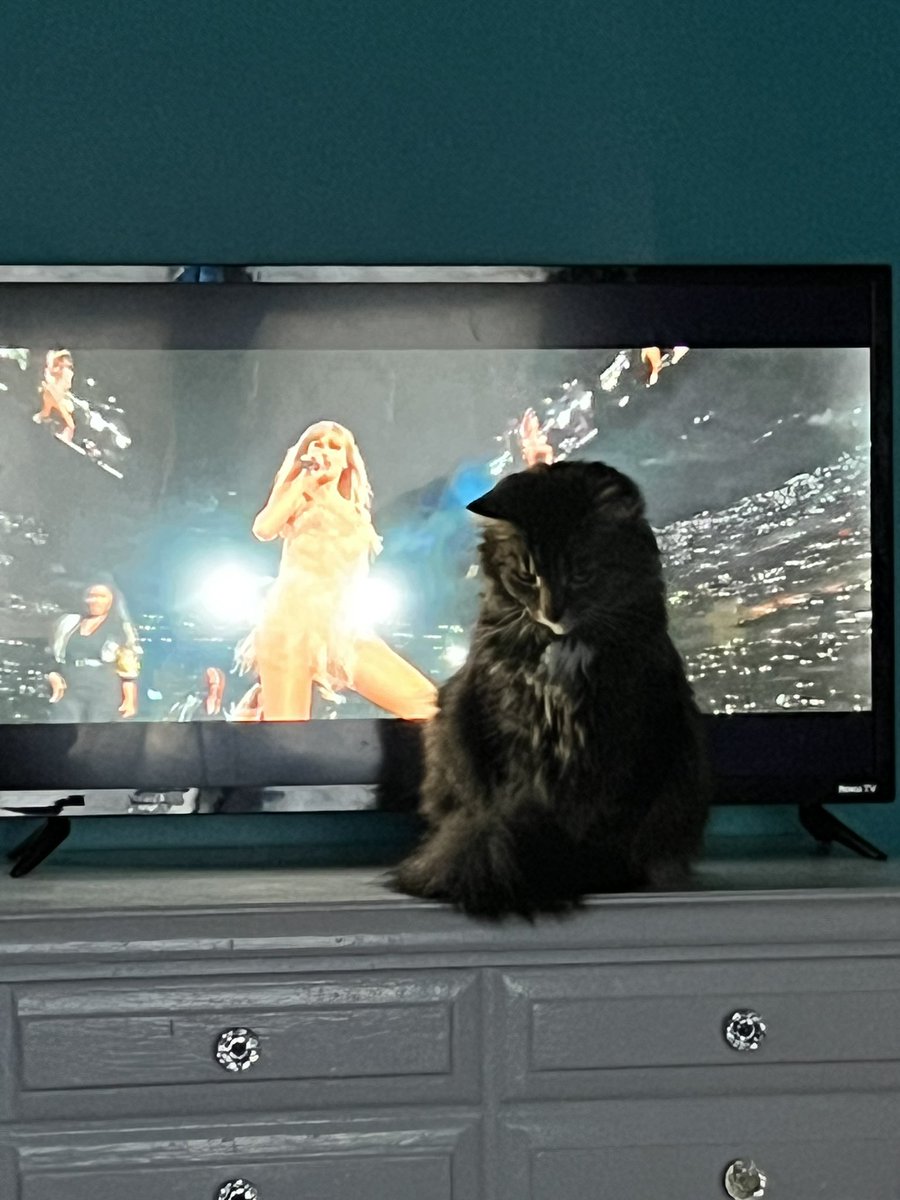 Looks like Miss Pyxel will not let me watch @taylornation13 @taylorswift13 #ErasTour she must be #centerofattention #cats #catlady