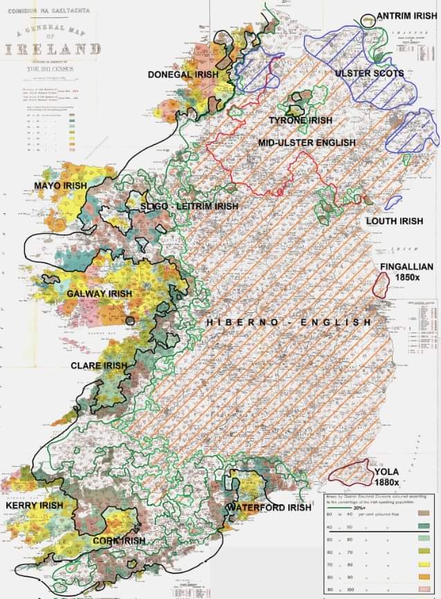 Staid na Gaeilge i 1911..