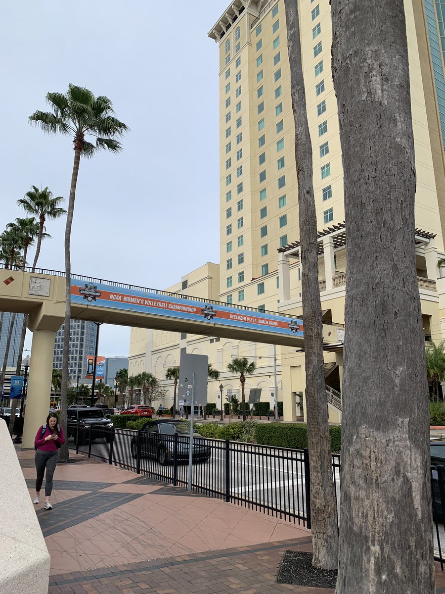 MathManMoran's tweet image. Day 1 of my first ever @AVCAVolleyball Clinic ✅ I learned a lot and am excited to learn some more tomorrow! After some awesome Final 4 games tonight of course 😁