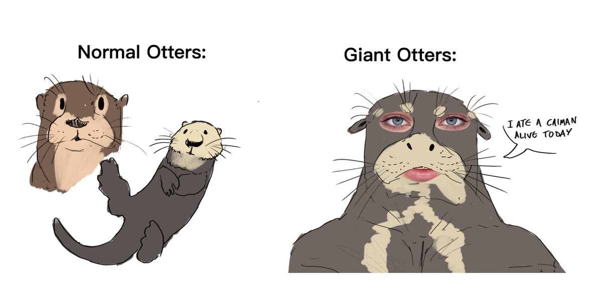 Something's up with Giant Otters