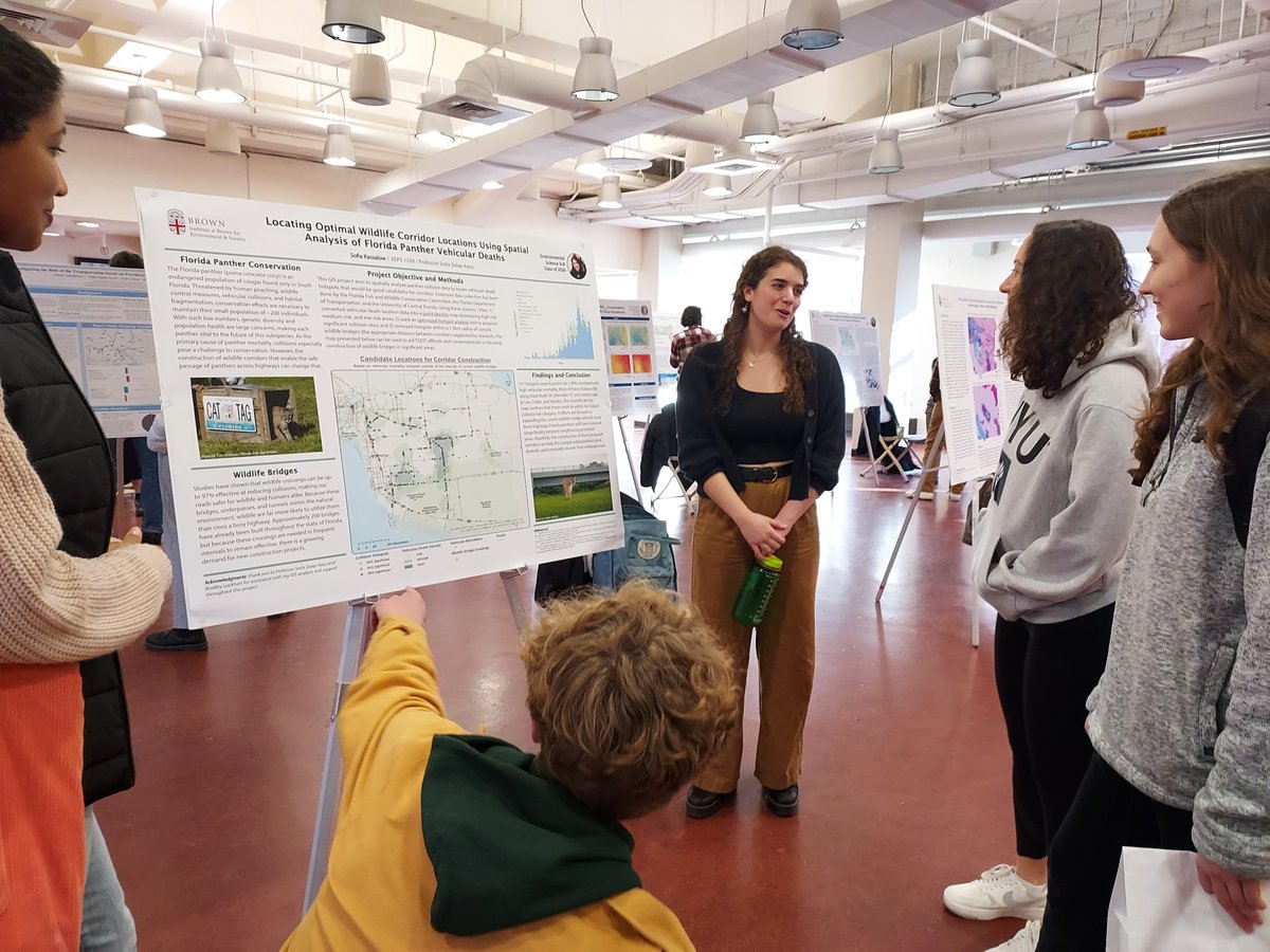 This week, the students of EEPS 1320: 'Introduction to GIS' hosted a poster presentation showcasing the work they accomplished this semester. Congrats to the presenters and course instructor @sedasalap, asst prof of the practice of geospatial science in IBES and @BrownGeoSci!