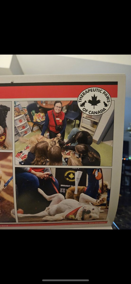 Ms T. (@mstsclass210) on Twitter photo Had a special visit a couple weeks ago <a href="/NGP_DDSB/">Norman G Powers Public School</a> to drop off <a href="/TherapeuticPaws/">Therapeutic Paws of Canada</a> calendar. If you zoom in you may see our fav guy Zinny !!! Thank you so much Carrie! 🤍 Had a special visit a couple weeks ago <a href="/NGP_DDSB/">Norman G Powers Public School</a> to drop off <a href="/TherapeuticPaws/">Therapeutic Paws of Canada</a> calendar. If you zoom in you may see our fav guy Zinny !!! Thank you so much Carrie! 🤍