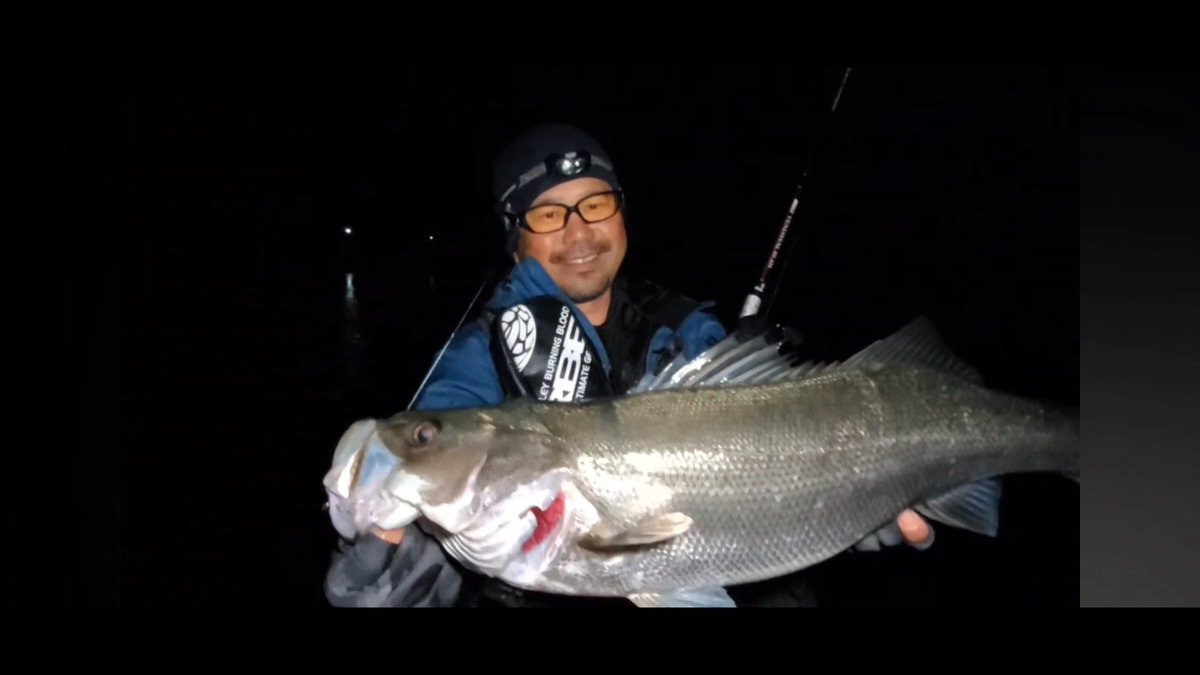 やっとやっとで肝属らしい魚
頑張った自分へのご褒美はたっぷりの睡眠でした

#釣り楽
#釣れないおじさん
#釣りゲー