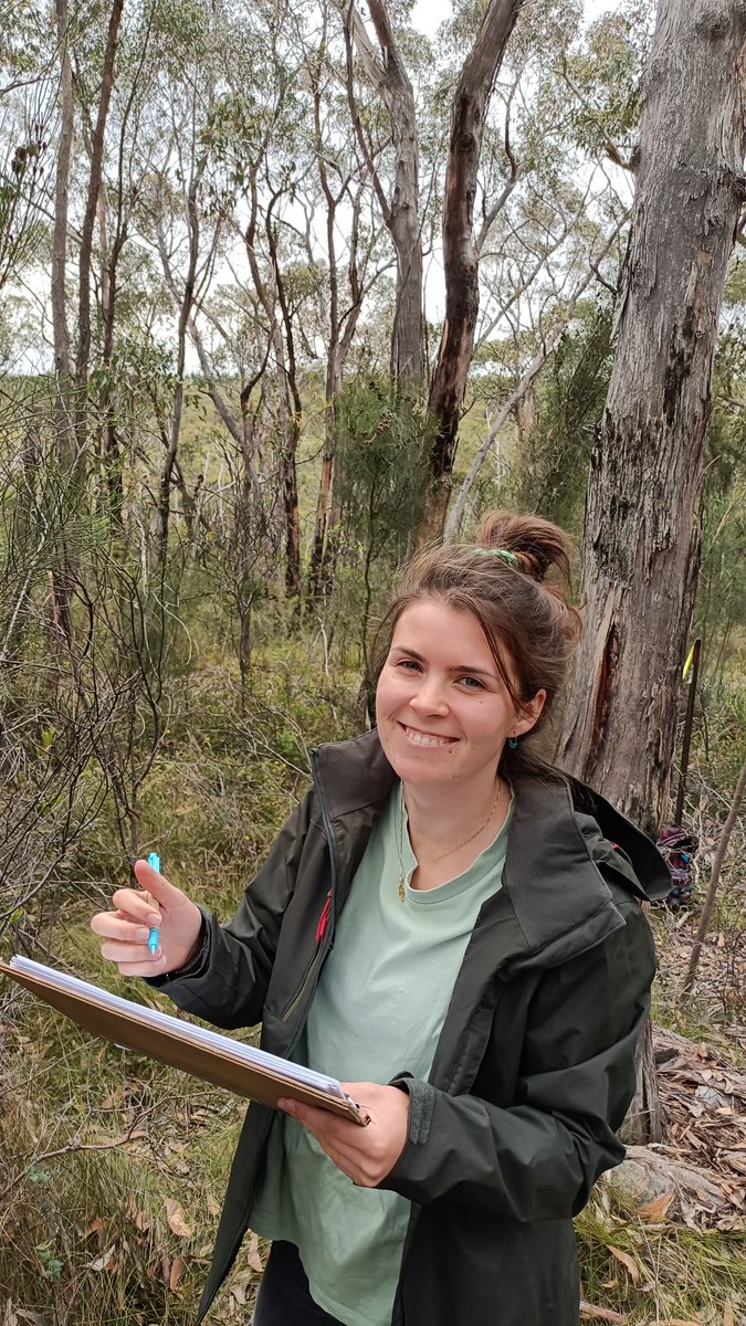PhD student <a href="/chloebentze/">Chloé Bentze</a> in the field looking at #dieback in stringybark #eucalypts after winning the Vice Chancellor and President Scholarship <a href="/UniversitySA/">UniSA</a>. CONGRATULATIONS!!!