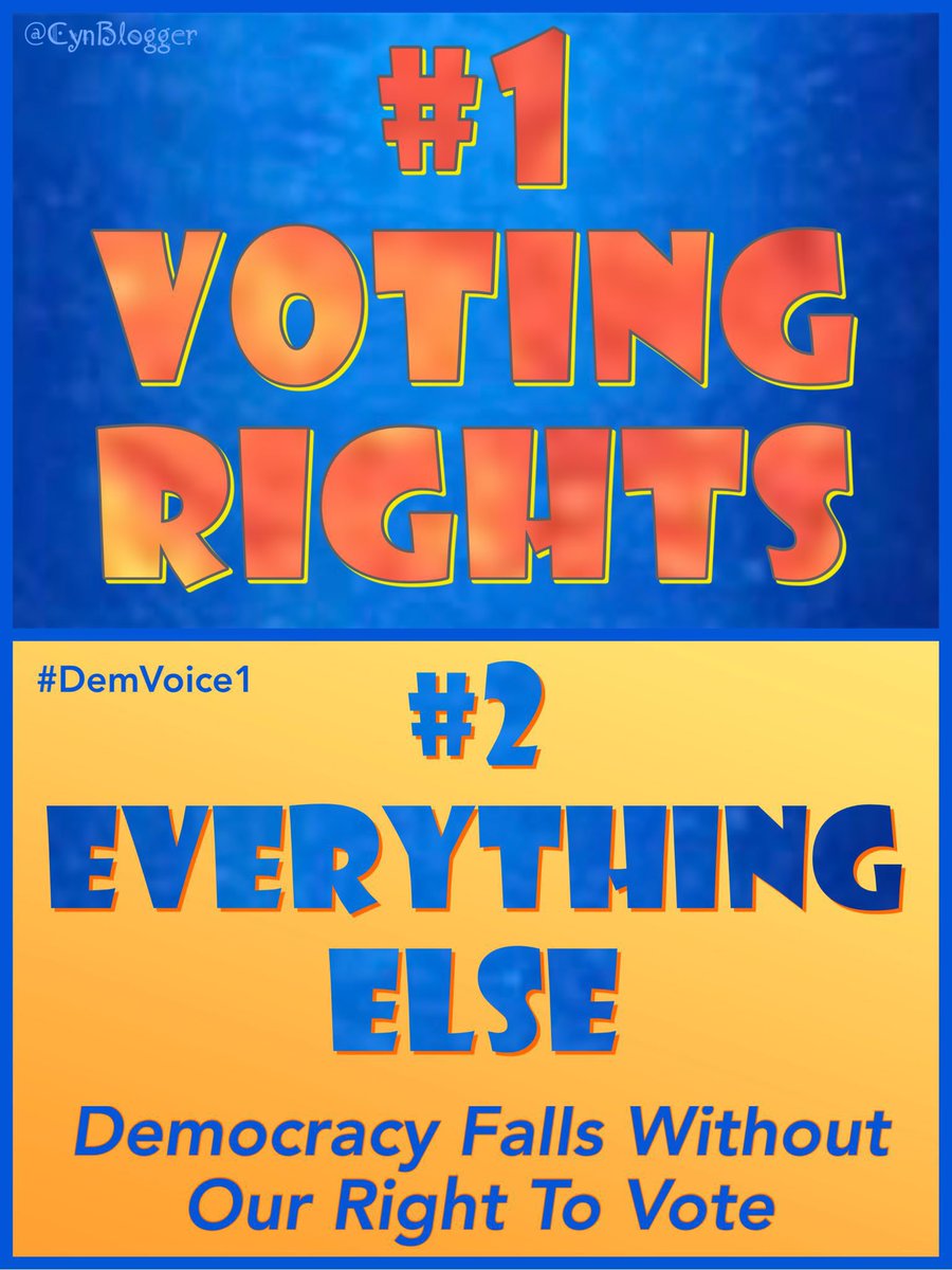 The freedom to vote is the key to our ability to beat back rightwing policies like those targeting abortion access & LGBTQ rights. Voting rights for all of us protect all of our other rights. Democrats will continue the fight to protect our freedoms. #DemVoice1
