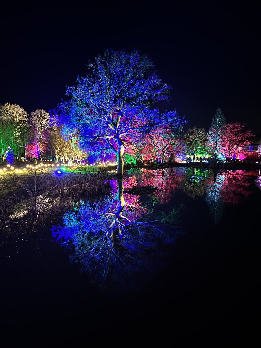 Went to <a href="/RHSHarlowCarr/">RHS Harlow Carr</a> this evening to see ‘Glow’ - excellent light installation. Lovely night (and snapped this pic)