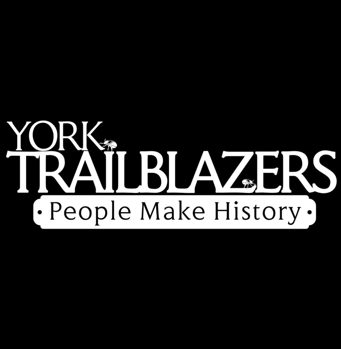 We’re absolutely delighted to be one of the twelve community groups awarded a small grant to shine a spotlight on local history as part of the #YorkTrailblazers project. More info availabe at makeityork.com/news/2023/12/1…
