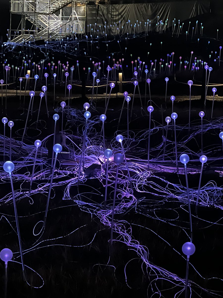 HannahyoungNYC's tweet photo. Evocative walk through the new #FieldOfLight with 🇬🇧 artist @bruce_munro. The 18,700 LED bulbs slowly change colour, creating a wonderful expanse of calming light. https://t.co/FDm1VspZpN