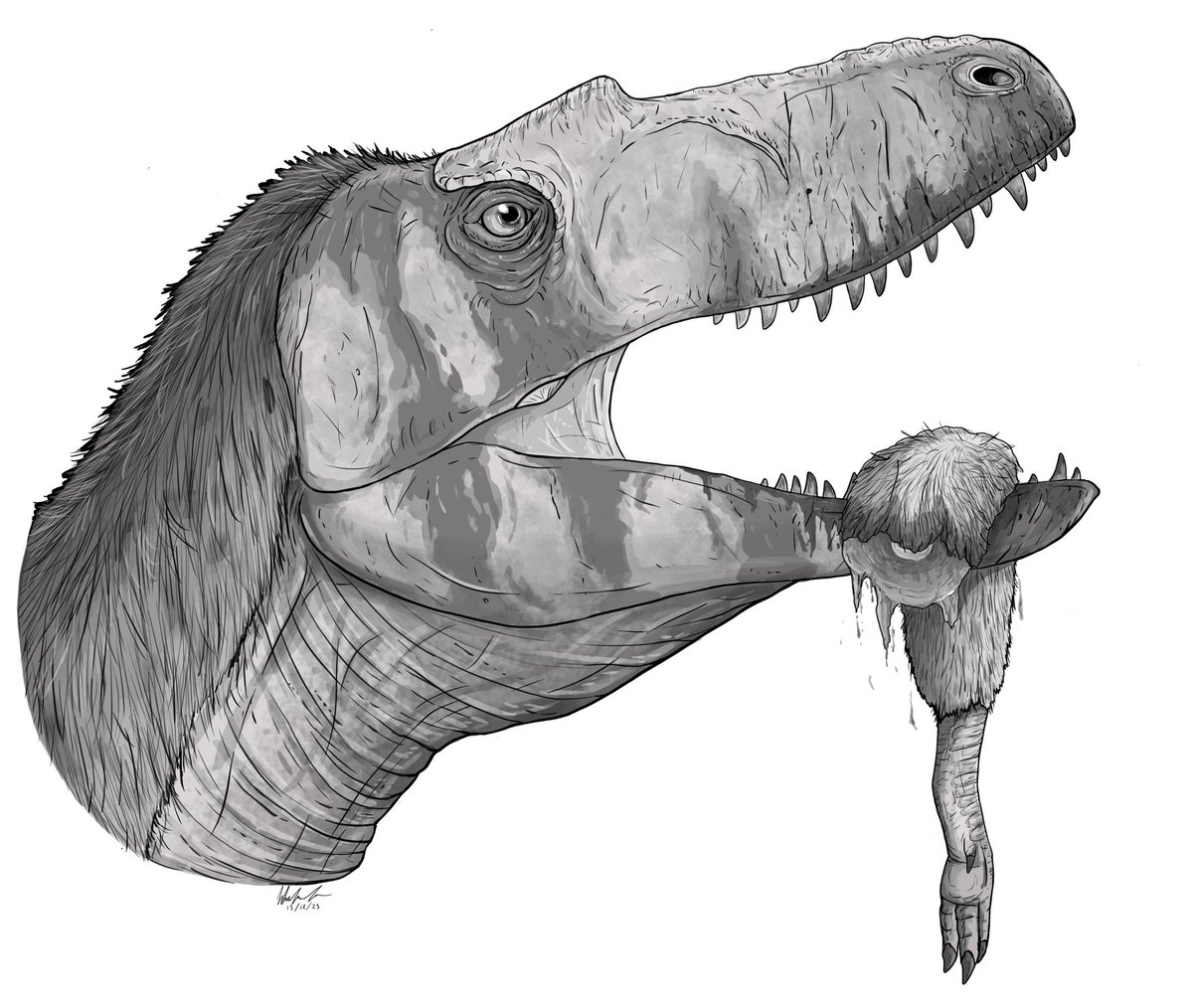 I'm a little late to the Gorgosaurus news, but here's a quick piece I did for @BenGThomas42 latest video. Gorgosaurus enjoying a little snack. #palaeontology #paleoart