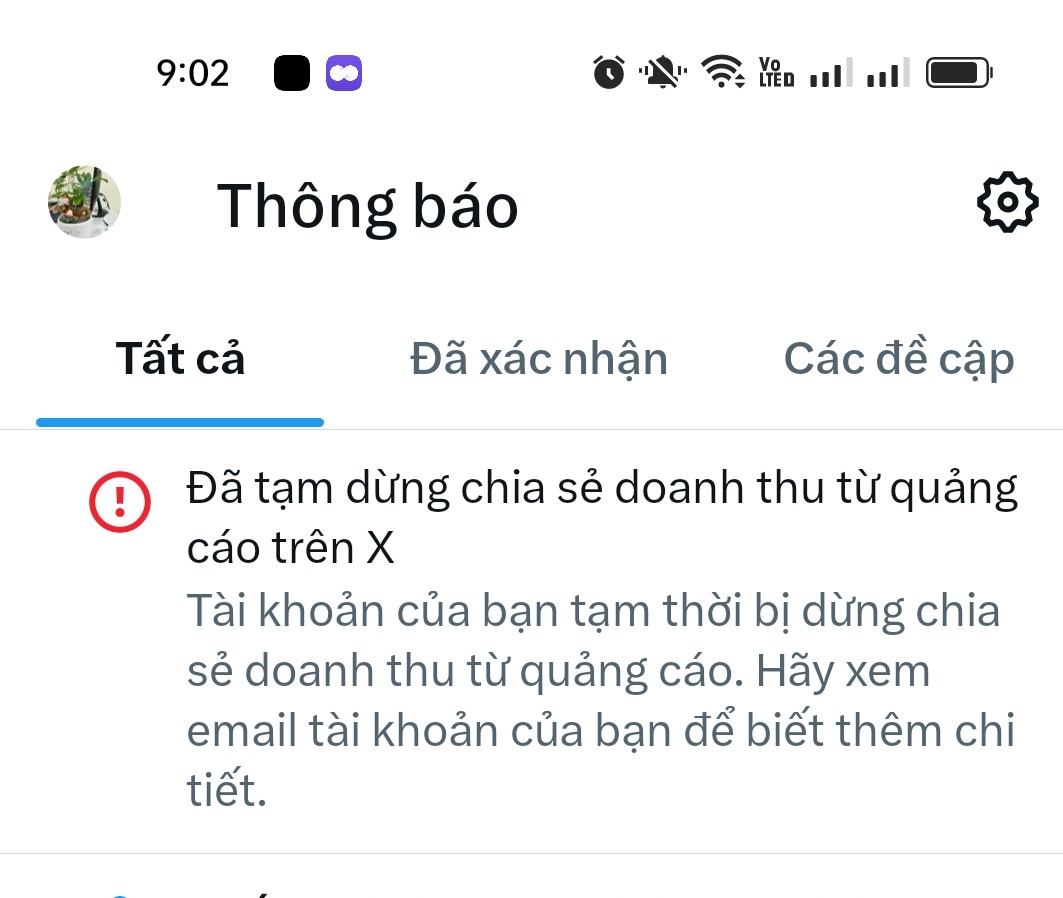 hoahong tweet media