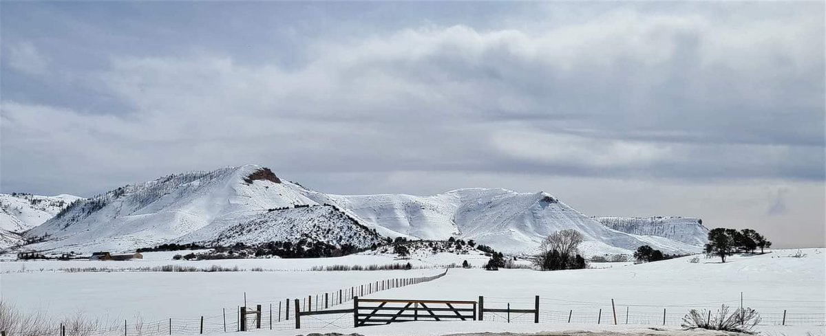 DenverChannel tweet picture