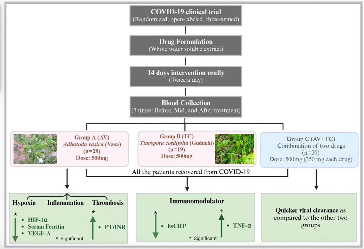 Exciting News in #COVID19Research! A recent clinical trial from our lab provides the first report of Adhatoda vasica herbal extract acting as a modifier of HIF-1α along with a reduction in hypoxia, inflammation &amp; thrombosis markers
ncbi.nlm.nih.gov/pmc/articles/P…
<a href="/IGIBSocial/">CSIR-IGIB</a> <a href="/BRPrasher/">Dr. Bhavana Prasher</a>