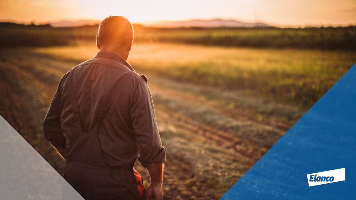 This festive period, take some time this winter to pick up the phone and check on your colleagues, friends, and family. 

If you need extra support @RABIcharity, @FCNcharity and @dpjfoundation are here to help.

#HelpingFarmingPeople #FarmingUK