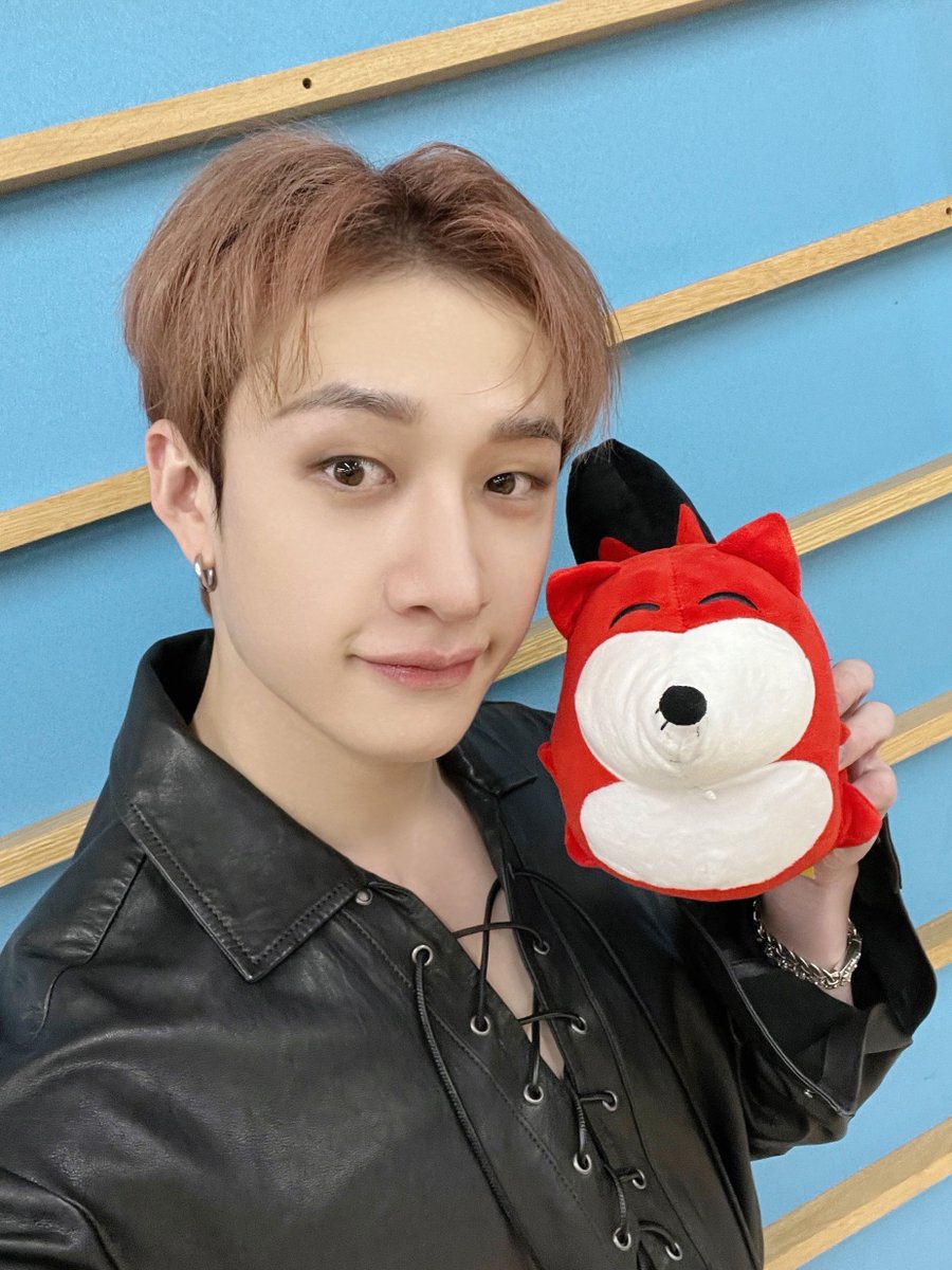 SOHUKOREA's tweet image. 📸스키즈와 #아이돌_출근한다 여우인형의 셀카 왔습니다🎁!!
#스트레이키즈 #스키즈 #방찬 #리노 #창빈 #현진