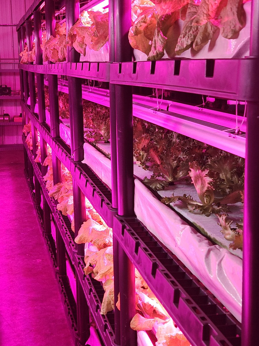 Spudshacks's tweet image. Almost there.