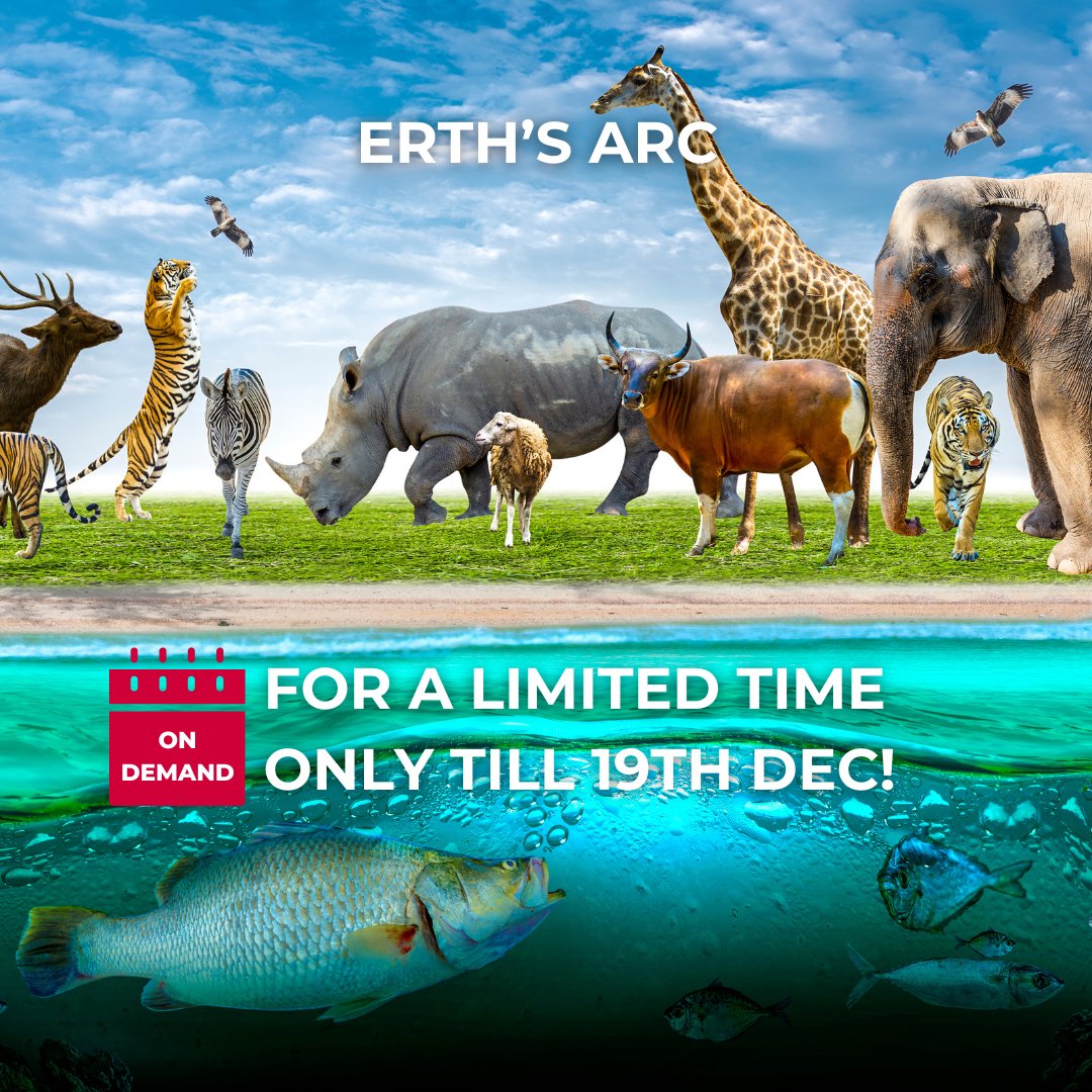 🌿🐾 Dive into the wonders of Earth's wildlife with DART Learning's exclusive premiere of 'Erth’s Arc'! 🌍✨  Don't miss this incredible on-demand experience! dartlearning.org.au/excursion/erth…  #ErthsArc #WildlifeConservation #DARTLearning #FreeEvent #DARTLearning #SydneyOperaHouse
