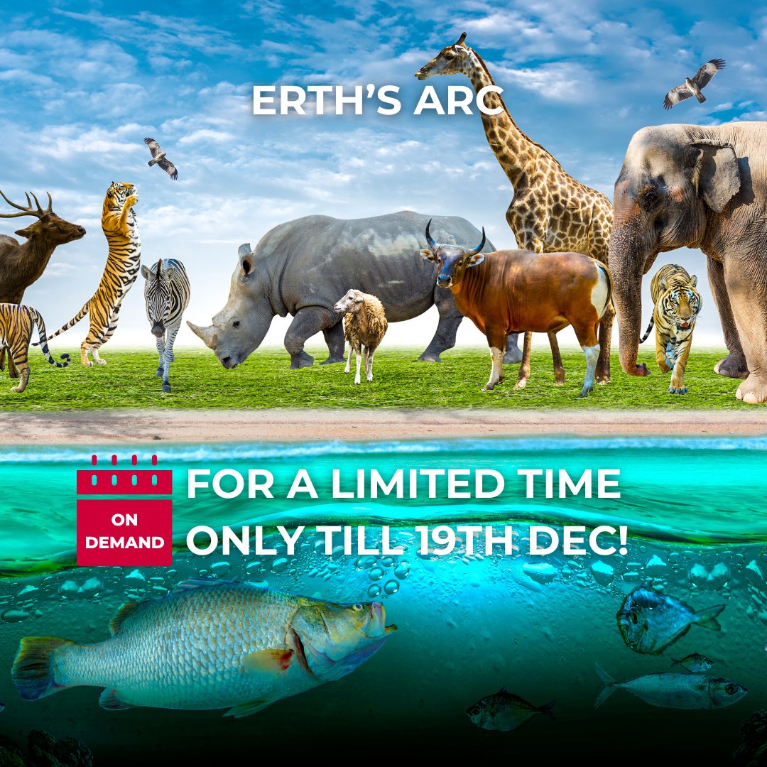🌿🐾 Dive into the wonders of Earth's wildlife with DART Learning's exclusive premiere of 'Erth’s Arc'! 🌍✨ 

Don't miss this incredible on-demand experience! dartlearning.org.au/excursion/erth… 

#ErthsArc #WildlifeConservation #DARTLearning #FreeEvent #DARTLearning #SydneyOperaHouse
