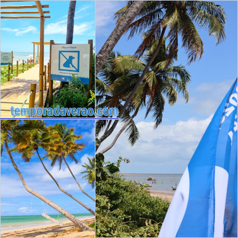 sortimentos's tweet photo. Temporada Verão em Porto de Pedras
✅ Bandeira Azul na Praia do Patacho tremula pelo terceiro ano consecutivo
Site Temporada Verão. Conheça! Acesse! https://t.co/0taf9mPh4w
#PortodePedras #PraiadoPatacho #BandeiraAzul
#PortodePedrasTurismo #Alagoas #LitoralAlagoano
#Turismo https://t.co/eHrNMR35ks