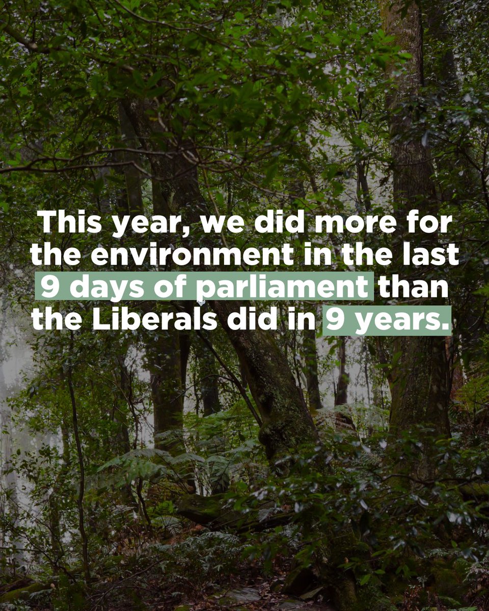 Tanya Plibersek tweet media