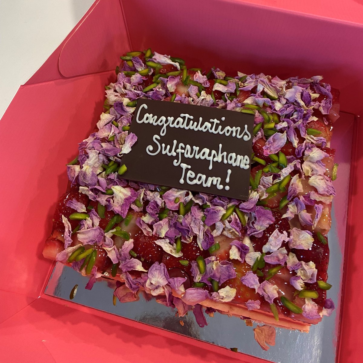 Wishing everyone a very merry Christmas and a happy new year from the sulforaphane team! 🥳🥳🥦🥦