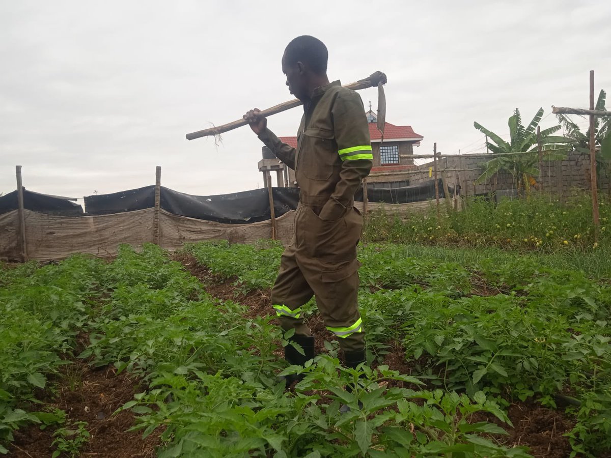 kalebndolo's tweet image. Your #financialfreedom is one decision away. #Farming is one of the way to start making that #extramoney you need at this #difficulttimes.

Remember #complaining won’t #pay bills .