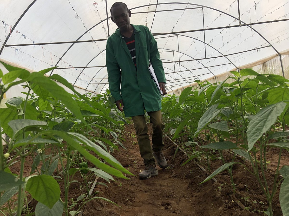 kalebndolo's tweet image. Your #financialfreedom is one decision away. #Farming is one of the way to start making that #extramoney you need at this #difficulttimes.

Remember #complaining won’t #pay bills .