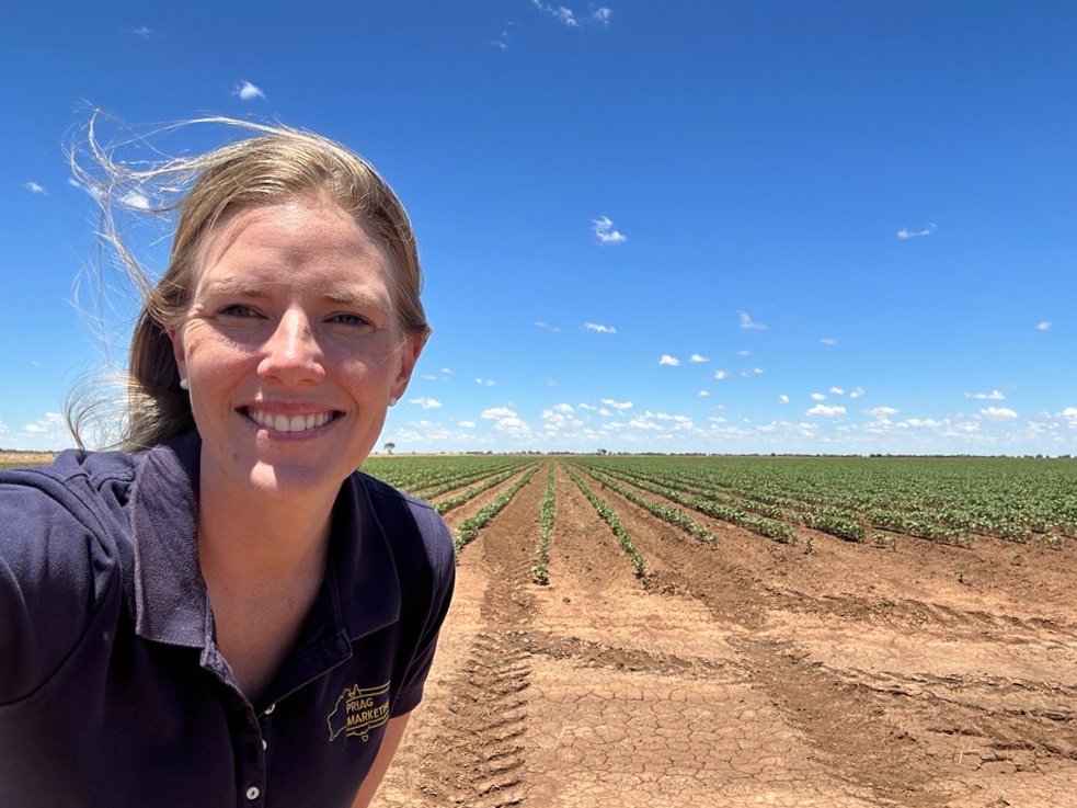 On The Road: Kevin and <a href="/jessschwager1/">Jessie Schwager</a> are in Southern NSW today visiting clients who continue to look at ways they can add #Cotton into their farming program. This cotton is south east of #Deniliquin and loving the blue skies #cotton24