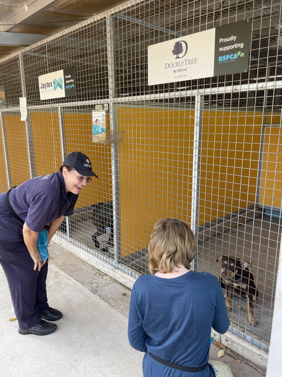 Happy Paws Happy Hearts | HPHH tweet media