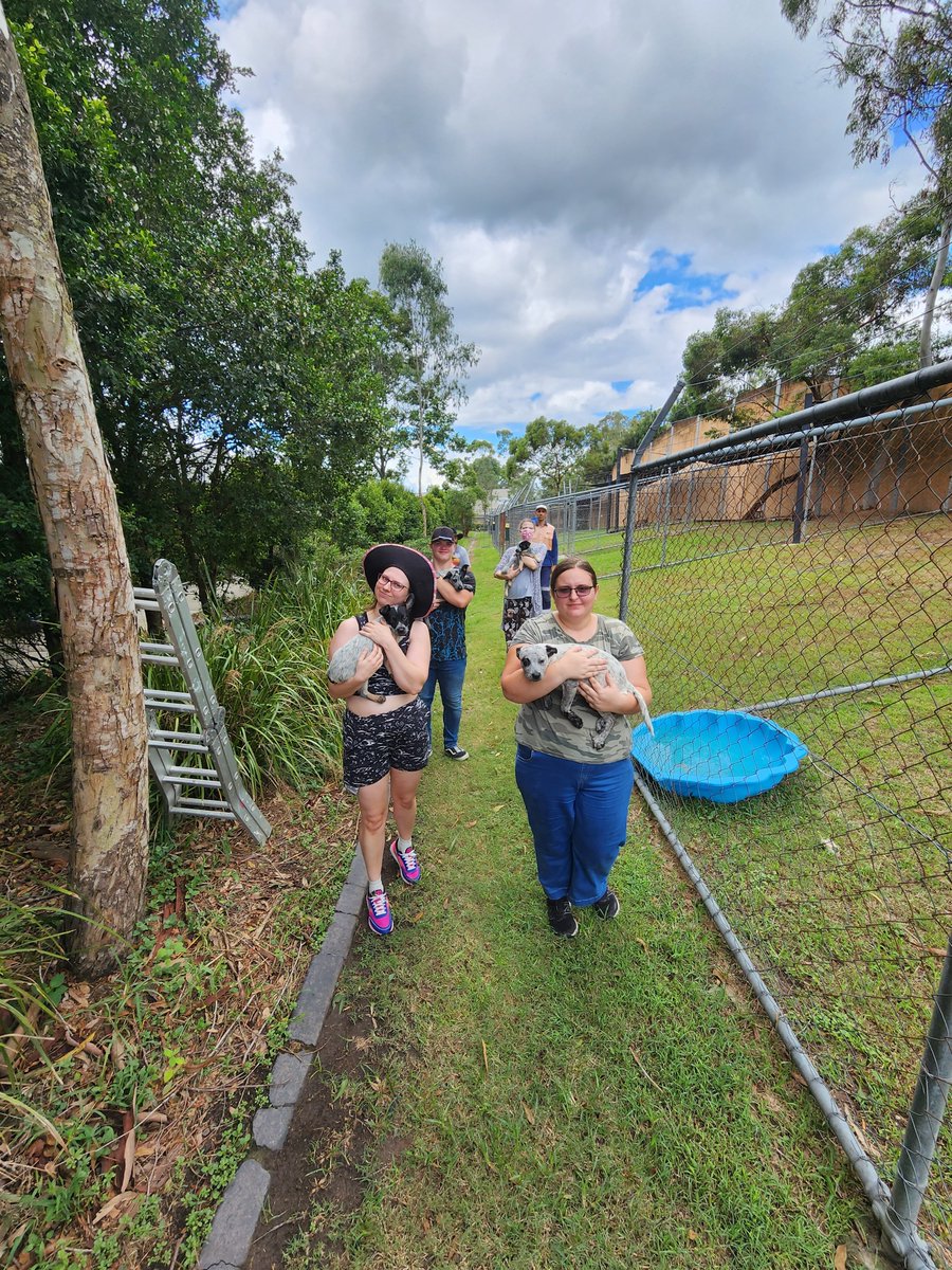 Happy Paws Happy Hearts | HPHH tweet media