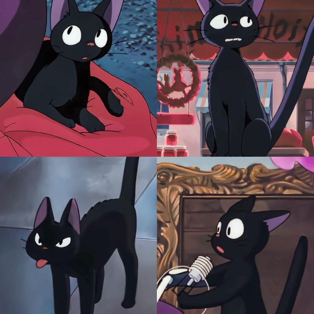 Jiji ❤️