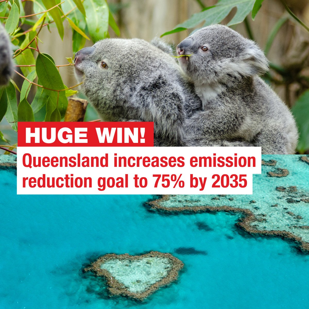 Amazing news! Queensland's new Premier has just announced a new 75% by 2035 emission reduction target. This is an incredible step that will help our climate, communities and nature thrive. Thank you Premier <a href="/StevenJMiles/">Steven Miles</a> for taking this important leap in the right direction.