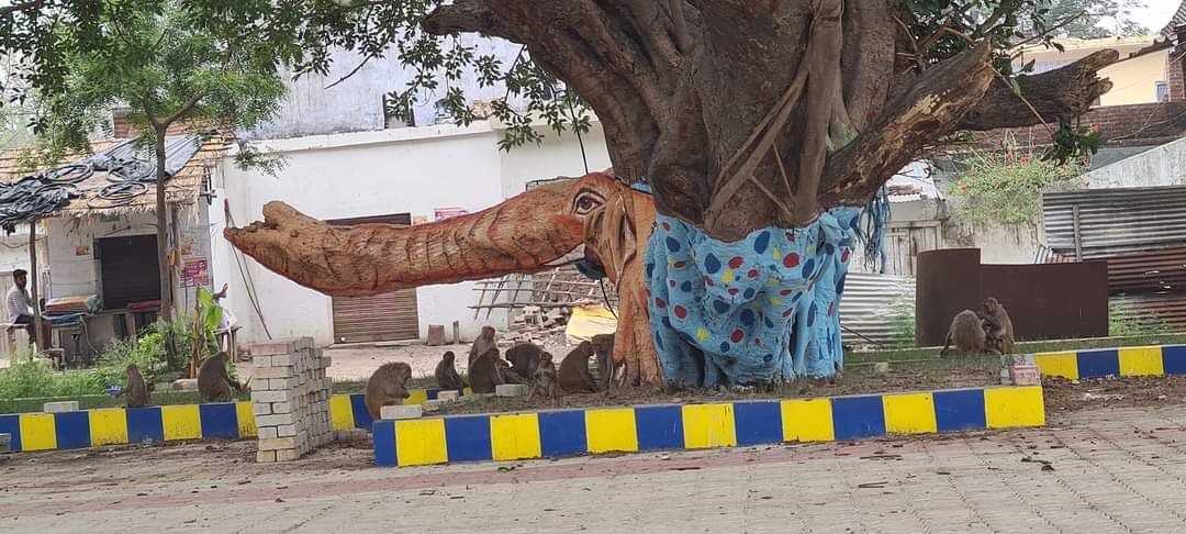 To attract tourists to Pilibhit Tiger Reserve @pilibhitr in #UttarPradesh, railway stations have been decorated on the theme of wildlife. The Sehramau railway station is dedicated to Tigers, while the Shahgarh railway station has been designed on the theme of elephants.…
