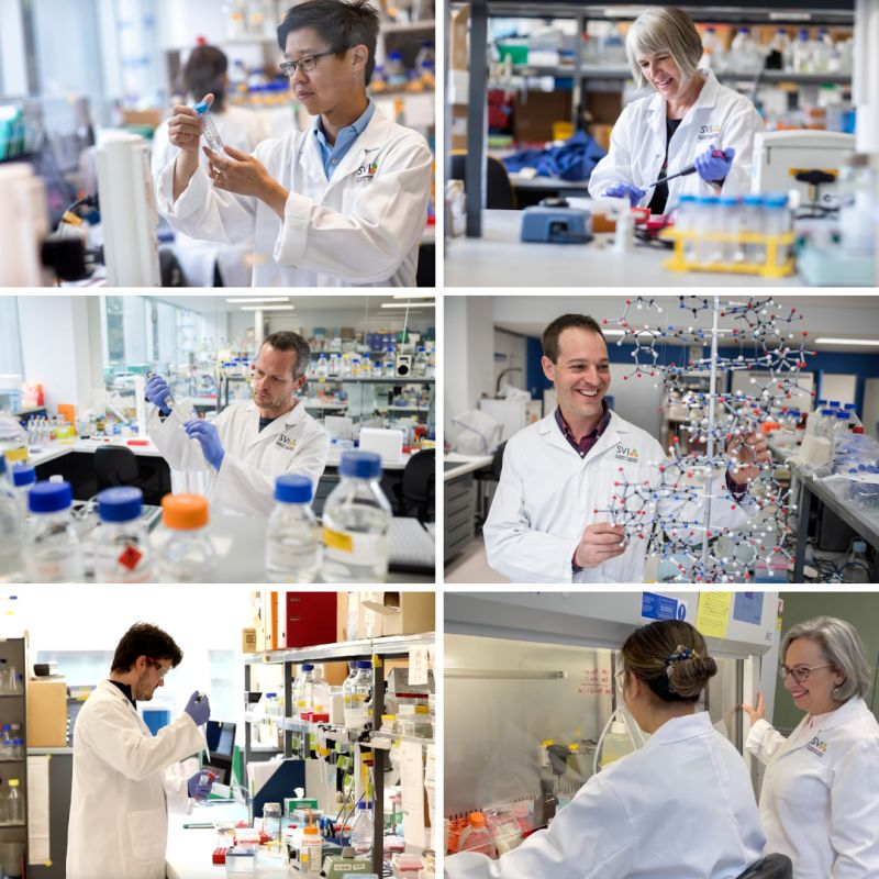 elaine_sanij's tweet photo. SVI researchers awarded $7.7 million in NHMRC Ideas grants for research into cancer, liver disease, heart disease and type 2 diabetes. I'm feeling lucky to be among them!
My application missed out by 0.15 of the score last year!  
Many outstanding applications miss out every year https://t.co/yWLd071NJX