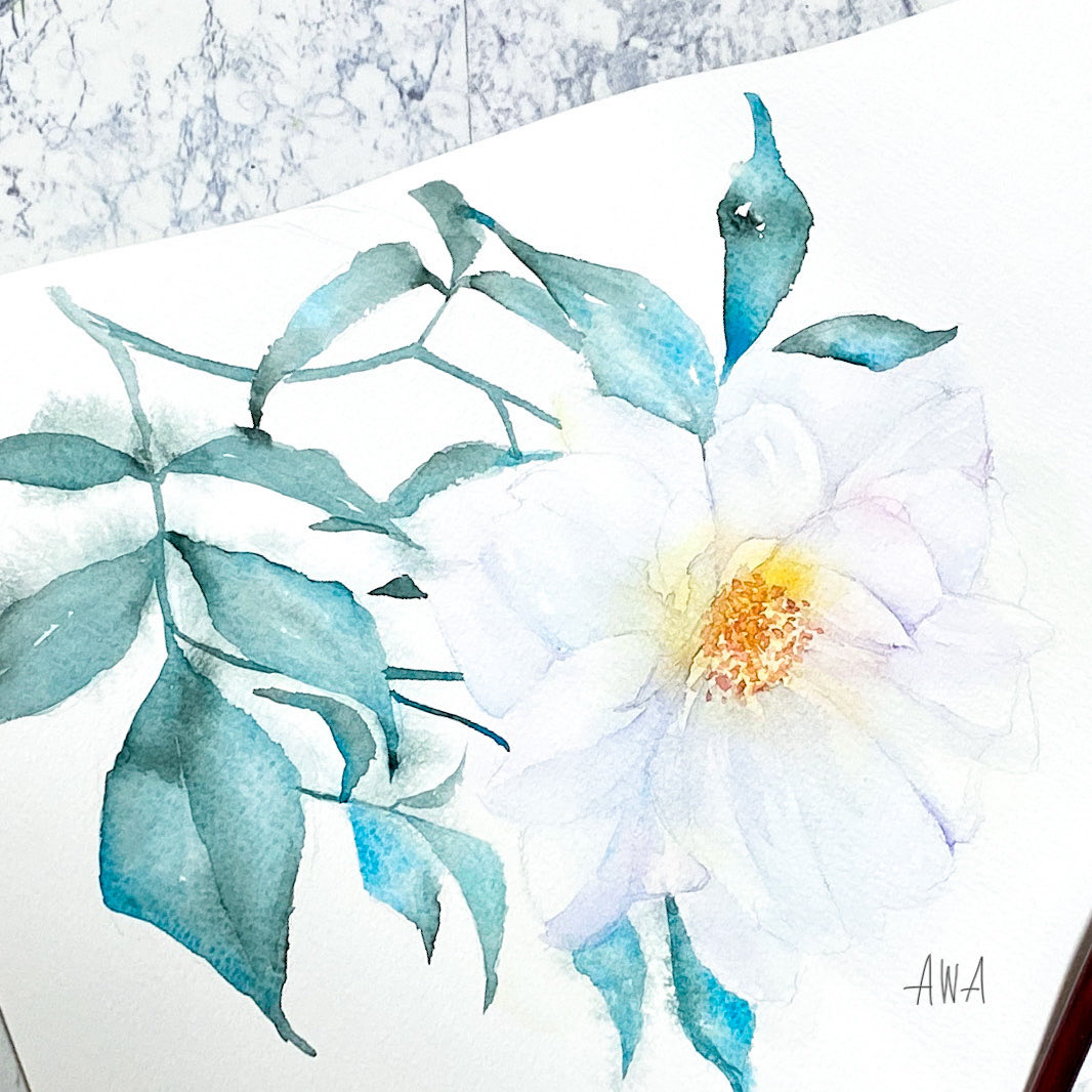 「#白で繋がるみんなの輪 白の中に咲く白い花を描くのが好きです」|Awa＊ふわもこ堂の水彩屋さんのイラスト