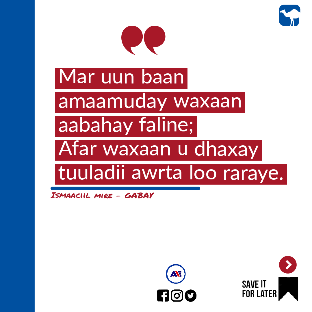 Haafid A. Elmi tweet media