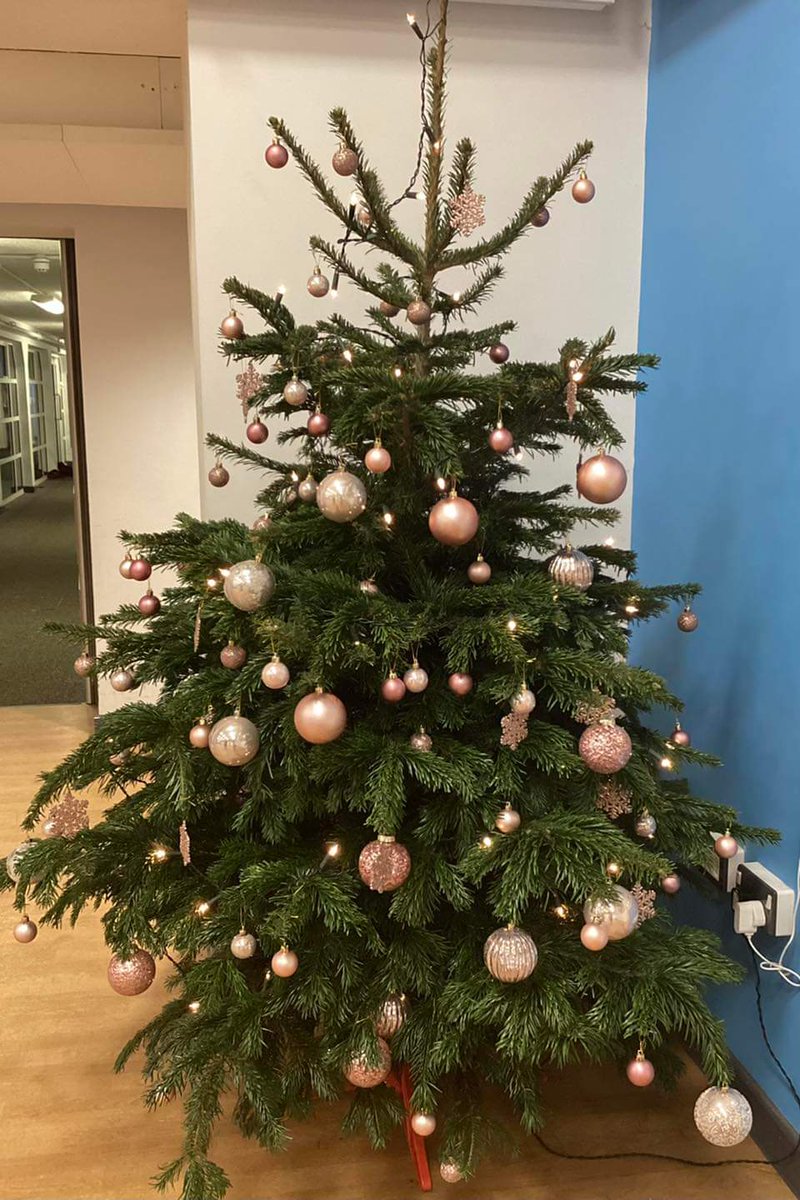 We would like to say a huge thank you to <a href="/dobbies/">Dobbies</a> for donating our Christmas tree this year, it's beautiful!