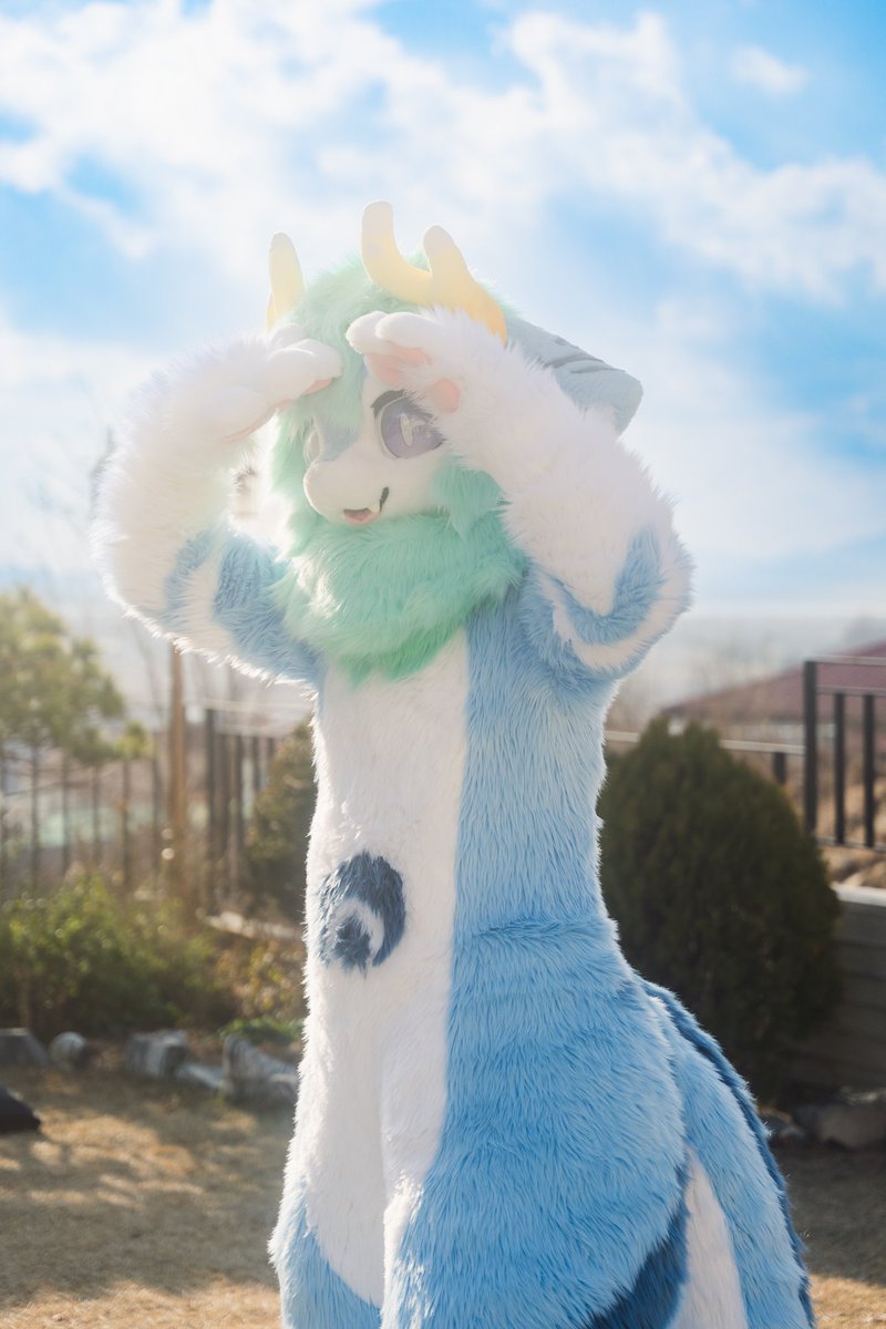 눈이부셔요~ ✨️

📷 : <a href="/dhfhfk19/">오로라 aurora</a> 
#FursuitFriday #fursuit