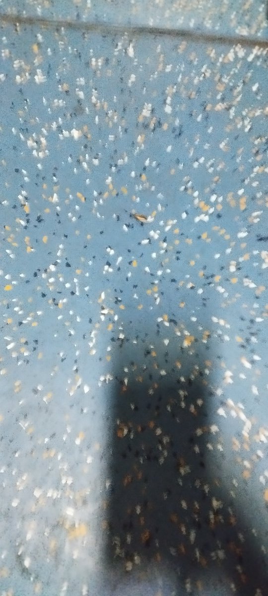 shoebmalek's tweet photo. @IRCTCofficial 

Dirty unhigen Pnr_8711438986 on wheel 
First time experiencing like this 
Urgent 🧹 cleaning require urgent https://t.co/PXoOZFGRjn